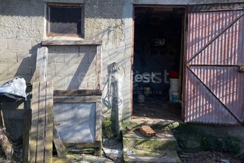 Terra a Abraveses, Viseu, Abraveses - € 75.000 | Ref: VS95027 - foto 15