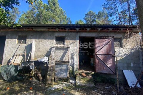 Terra a Abraveses, Viseu, Abraveses - € 75.000 | Ref: VS95027 - foto 16