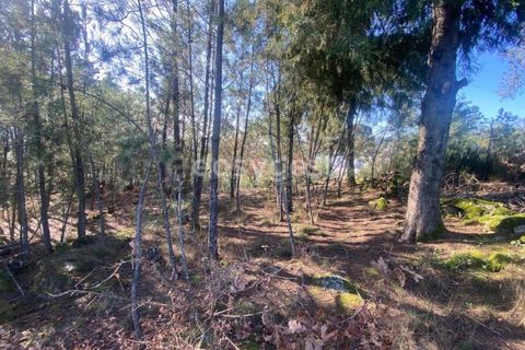 Terra a Abraveses, Viseu, Abraveses - € 75.000 | Ref: VS95027 - foto 18