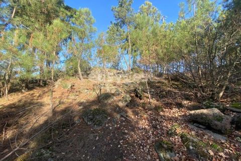 Terra a Abraveses, Viseu, Abraveses - € 75.000 | Ref: VS95027 - foto 19