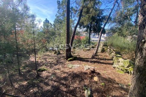 Terra a Abraveses, Viseu, Abraveses - € 75.000 | Ref: VS95027 - foto 20