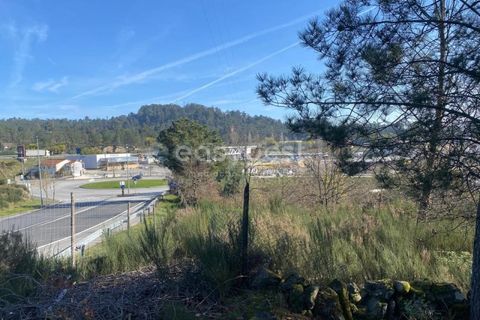 Terra a Abraveses, Viseu, Abraveses - € 75.000 | Ref: VS95027 - foto 22