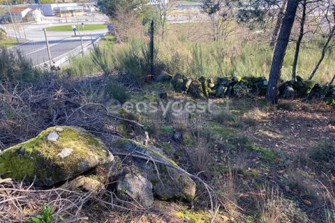 Terra a Abraveses, Viseu, Abraveses - € 75.000 | Ref: VS95027 - foto 23