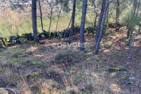 Terra a Abraveses, Viseu, Abraveses - € 75.000 | Ref: VS95027 - foto 24