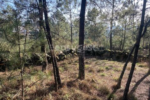 Terra a Abraveses, Viseu, Abraveses - € 75.000 | Ref: VS95027 - foto 25