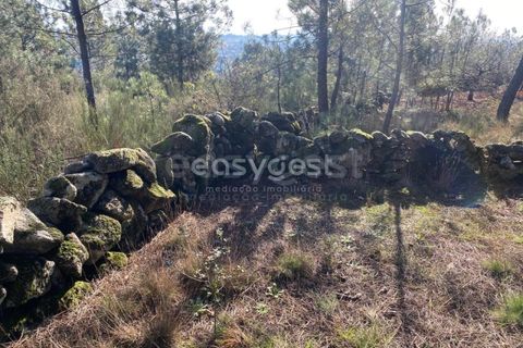 Terra a Abraveses, Viseu, Abraveses - € 75.000 | Ref: VS95027 - foto 26