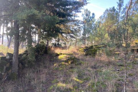 Terra a Abraveses, Viseu, Abraveses - € 75.000 | Ref: VS95027 - foto 27