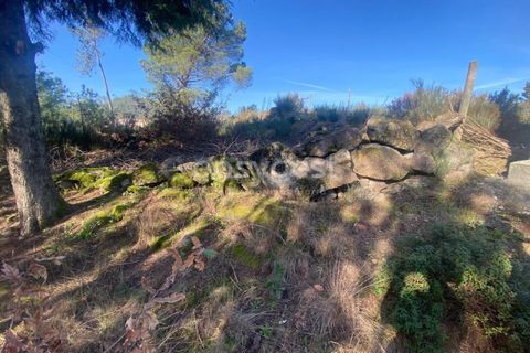 Terra a Abraveses, Viseu, Abraveses - € 75.000 | Ref: VS95027 - foto 28