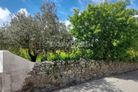 Villa i Mertola, Beja, Mertola - € 56.500 | Ref: BJ95048 - foto 10