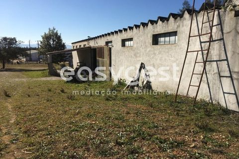 Erhvervsejendom i Tabua, Coimbra, Tabua - € 195.000 | Ref: RR95041 - foto 2