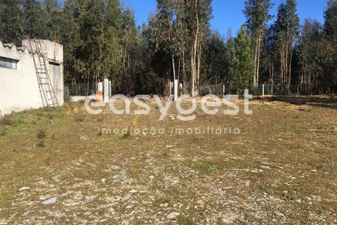 Erhvervsejendom i Tabua, Coimbra, Tabua - € 195.000 | Ref: RR95041 - foto 12