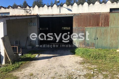 Erhvervsejendom i Tabua, Coimbra, Tabua - € 195.000 | Ref: RR95041 - foto 13