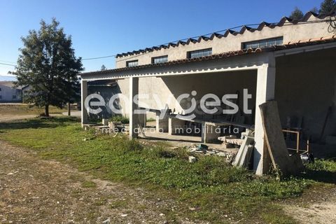 Erhvervsejendom i Tabua, Coimbra, Tabua - € 195.000 | Ref: RR95041 - foto 14