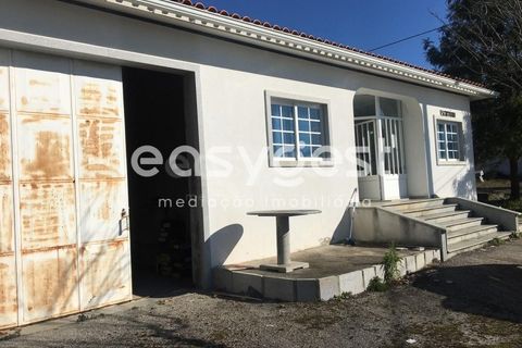 Erhvervsejendom i Tabua, Coimbra, Tabua - € 195.000 | Ref: RR95041 - foto 16