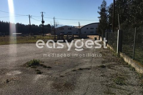 Erhvervsejendom i Tabua, Coimbra, Tabua - € 195.000 | Ref: RR95041 - foto 18