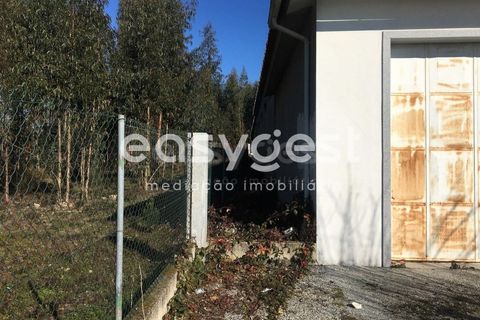 Erhvervsejendom i Tabua, Coimbra, Tabua - € 195.000 | Ref: RR95041 - foto 19