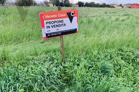 Terra a Legnaro, Padua, Legnaro - € 569.000 | Ref: L-146 - foto 3