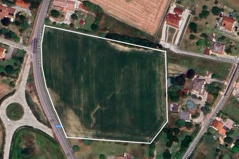 Terra a Legnaro, Padua, Legnaro - € 569.000 | Ref: L-146 - foto 4