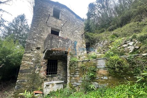 Byhus i Stazzema, Lucca, Stazzema - € 60.000 | Ref: 2936 - foto 2
