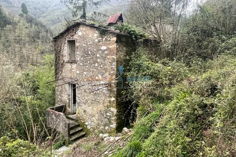 Byhus i Stazzema, Lucca, Stazzema - € 60.000 | Ref: 2936 - foto 4