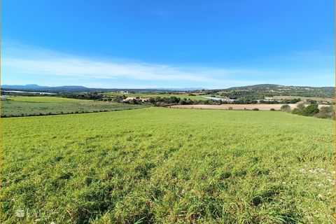 Helårsgrund i Manacor, Mallorca, Manacor - € 396.000 | Ref: FALC-AnPa-43094 - foto 18
