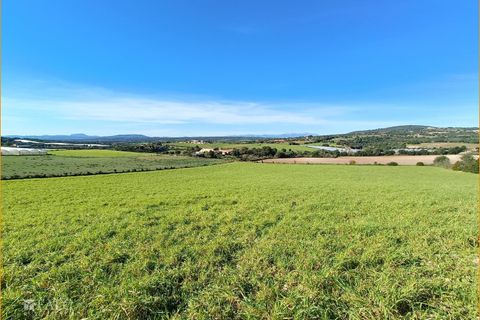 Helårsgrund i Manacor, Mallorca, Manacor - € 396.000 | Ref: FALC-AnPa-43094 - foto 19