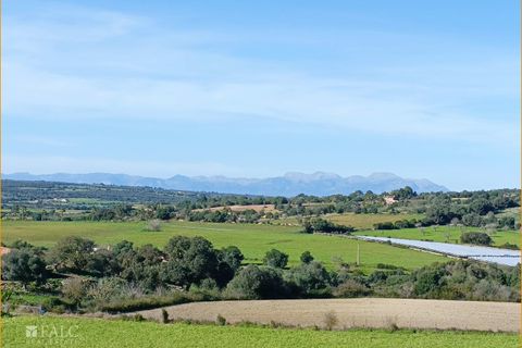 Helårsgrund i Manacor, Mallorca, Manacor - € 396.000 | Ref: FALC-AnPa-43094 - foto 20