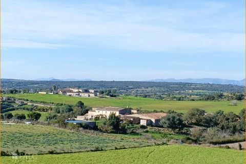 Helårsgrund i Manacor, Mallorca, Manacor - € 396.000 | Ref: FALC-AnPa-43094 - foto 21