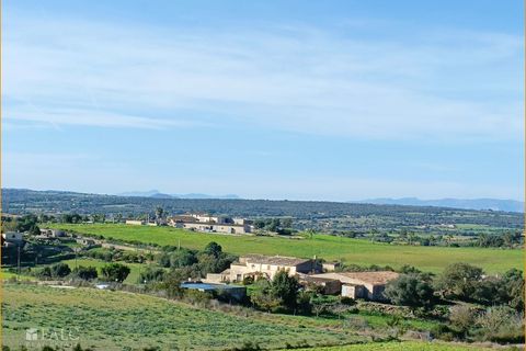 Helårsgrund i Manacor, Mallorca, Manacor - € 396.000 | Ref: FALC-AnPa-43094 - foto 23