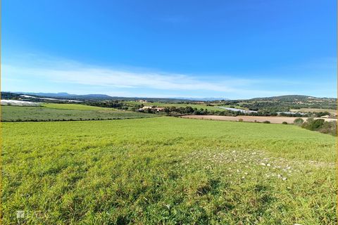 Helårsgrund i Manacor, Mallorca, Manacor - € 396.000 | Ref: FALC-AnPa-43094 - foto 24