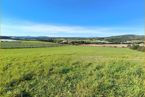 Helårsgrund i Manacor, Mallorca, Manacor - € 396.000 | Ref: FALC-AnPa-43094 - foto 26