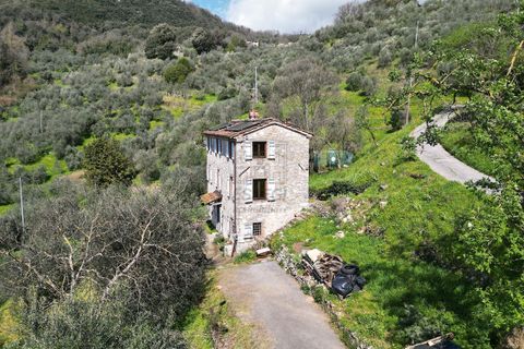 Villa i Borgo a Mozzano, Lucca, Borgo a Mozzano - € 290.000 | Ref: IA03860 - foto 3