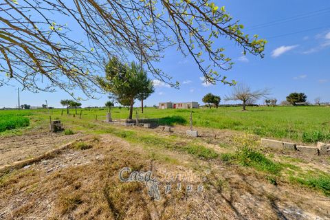 Terra a Racale, Lecce, Racale - € 128.000 | Ref: RAIL-PA-128 - foto 2