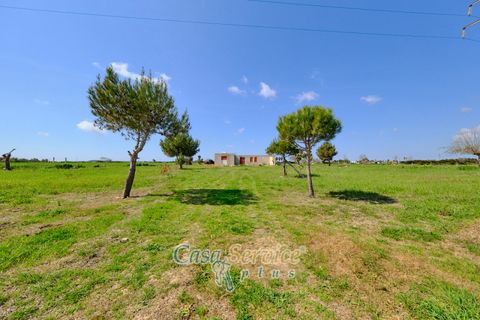 Terra a Racale, Lecce, Racale - € 128.000 | Ref: RAIL-PA-128 - foto 3