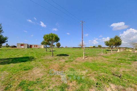 Terra a Racale, Lecce, Racale - € 128.000 | Ref: RAIL-PA-128 - foto 4
