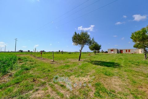 Terra a Racale, Lecce, Racale - € 128.000 | Ref: RAIL-PA-128 - foto 5