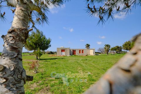 Terra a Racale, Lecce, Racale - € 128.000 | Ref: RAIL-PA-128 - foto 7