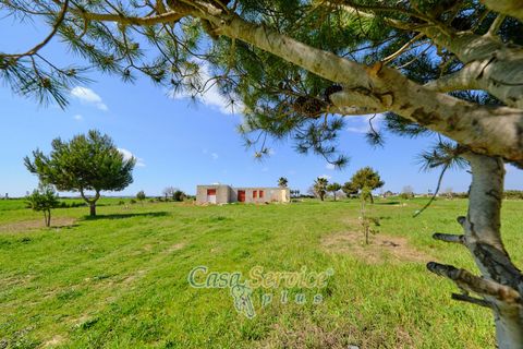 Terra a Racale, Lecce, Racale - € 128.000 | Ref: RAIL-PA-128 - foto 11