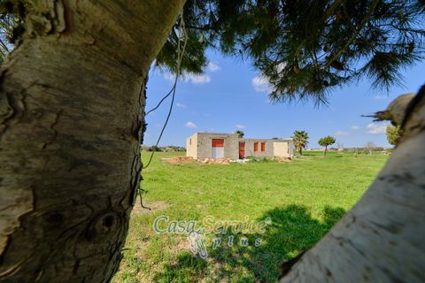 Terra a Racale, Lecce, Racale - € 128.000 | Ref: RAIL-PA-128 - foto 15