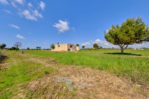 Terra a Racale, Lecce, Racale - € 128.000 | Ref: RAIL-PA-128 - foto 16