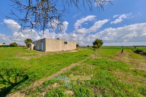 Terra a Racale, Lecce, Racale - € 128.000 | Ref: RAIL-PA-128 - foto 17
