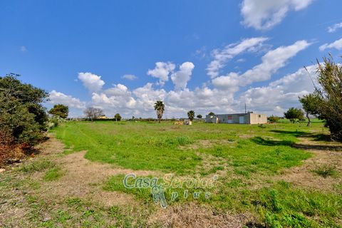 Terra a Racale, Lecce, Racale - € 128.000 | Ref: RAIL-PA-128 - foto 18