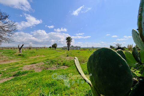 Terra a Racale, Lecce, Racale - € 128.000 | Ref: RAIL-PA-128 - foto 19
