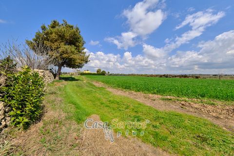 Terra a Racale, Lecce, Racale - € 128.000 | Ref: RAIL-PA-128 - foto 20
