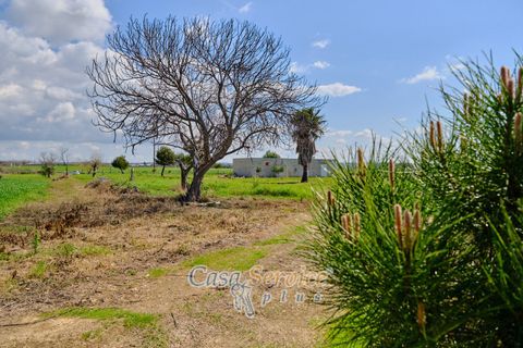 Terra a Racale, Lecce, Racale - € 128.000 | Ref: RAIL-PA-128 - foto 21