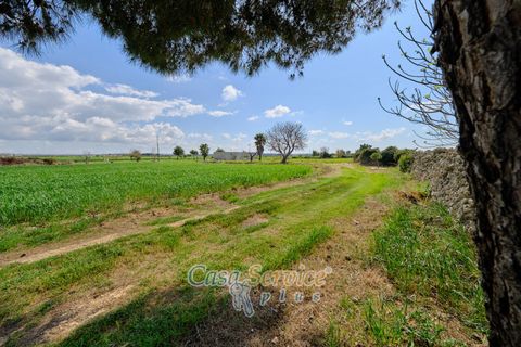 Terra a Racale, Lecce, Racale - € 128.000 | Ref: RAIL-PA-128 - foto 22