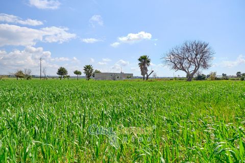 Terra a Racale, Lecce, Racale - € 128.000 | Ref: RAIL-PA-128 - foto 23