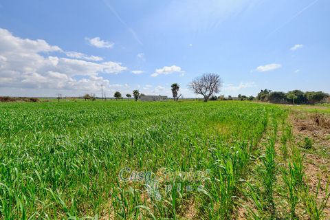 Terra a Racale, Lecce, Racale - € 128.000 | Ref: RAIL-PA-128 - foto 24