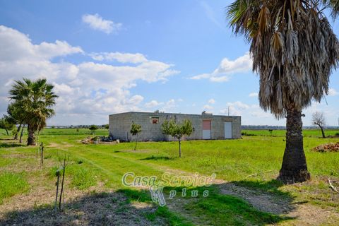 Terra a Racale, Lecce, Racale - € 128.000 | Ref: RAIL-PA-128 - foto 25