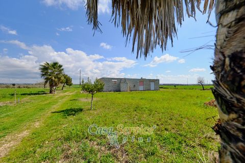 Terra a Racale, Lecce, Racale - € 128.000 | Ref: RAIL-PA-128 - foto 26